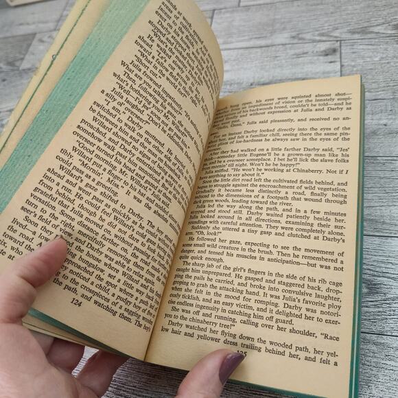 Chinaberry by William Lavender 1976 Pyramid Paperback Historical Fiction - Picture 5 of 13